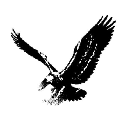 Strauss and Associates